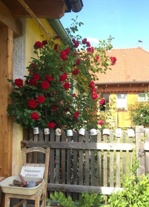 Ferienhaus Mit Garten In Thermennaehe Strebersdorf Экстерьер фото